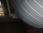 Theonlycorey2